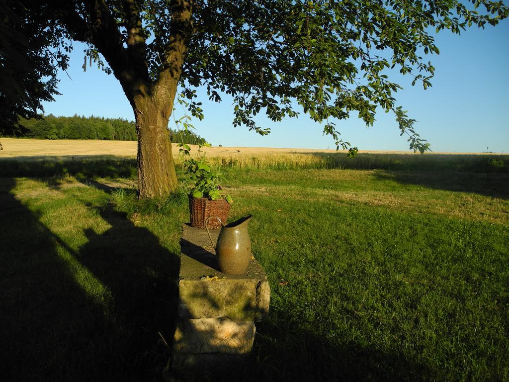 Alte Scheune Rietzschelhof Muglitztal Zewnętrze zdjęcie
