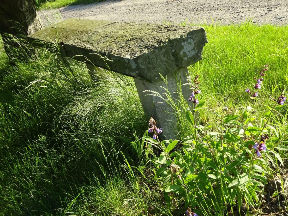 Alte Scheune Rietzschelhof Muglitztal Zewnętrze zdjęcie